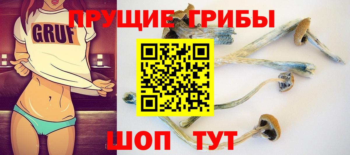 Псилоцибиновые грибы Magic Shrooms  Вход с VPN  Кстово 