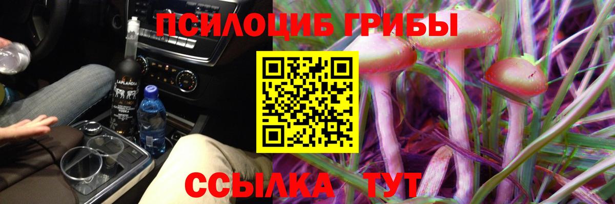Галлюциногенные грибы Cubensis Кстово